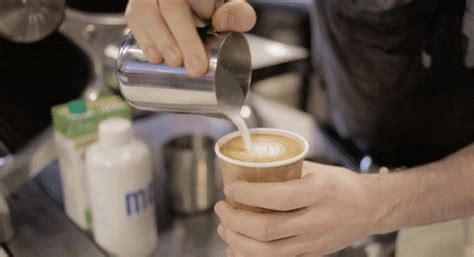 barista erome|NSFWBarista Gifs .